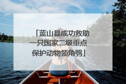 蓝山县成功救助一只国家二级重点保护动物领角鸮