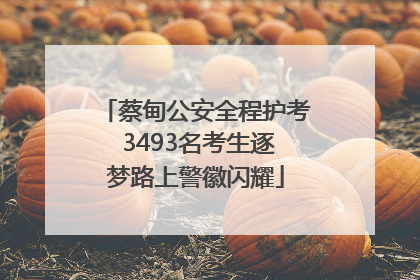 蔡甸公安全程护考 3493名考生逐梦路上警徽闪耀