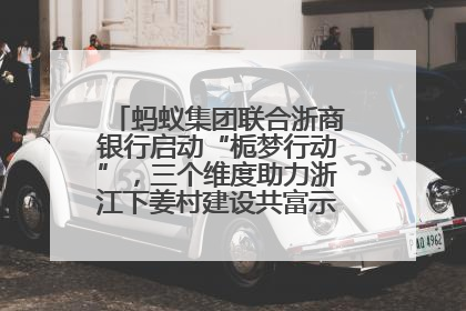 蚂蚁集团联合浙商银行启动“栀梦行动”，三个维度助力浙江下姜村建设共富示范区示范点