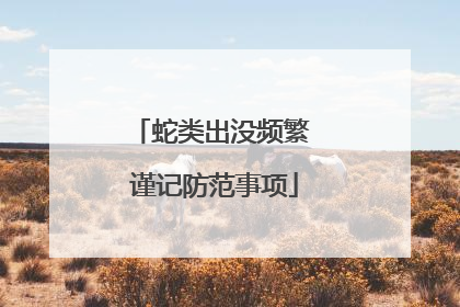 蛇类出没频繁 谨记防范事项