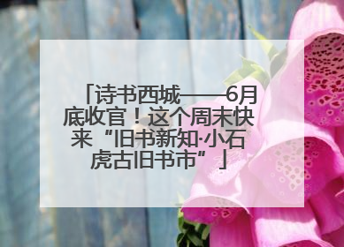 诗书西城——6月底收官！这个周末快来“旧书新知·小石虎古旧书市”