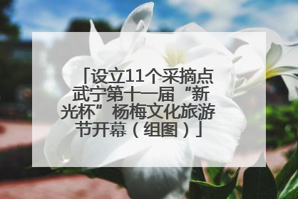 设立11个采摘点 武宁第十一届“新光杯”杨梅文化旅游节开幕（组图）