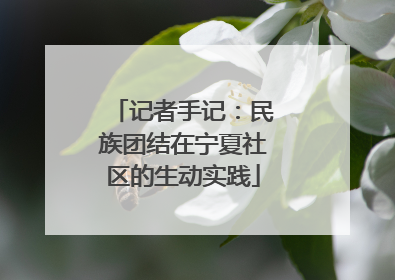 记者手记：民族团结在宁夏社区的生动实践