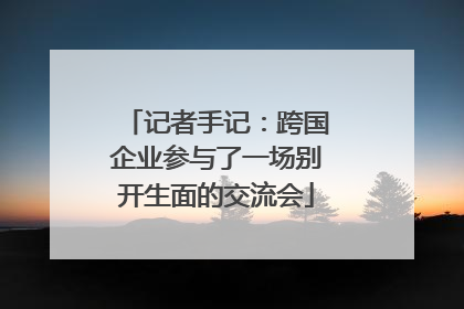 记者手记：跨国企业参与了一场别开生面的交流会