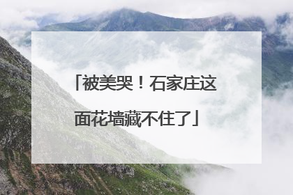 被美哭！石家庄这面花墙藏不住了