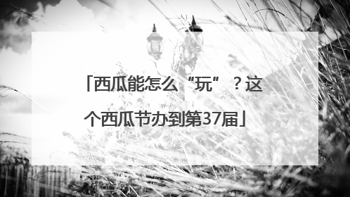 西瓜能怎么“玩”？这个西瓜节办到第37届