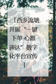 西乡流塘开展“一键下单·心愿速达”数字化平台宣传