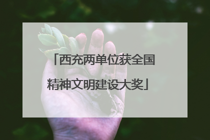 西充两单位获全国精神文明建设大奖