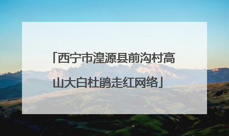 西宁市湟源县前沟村高山大白杜鹃走红网络