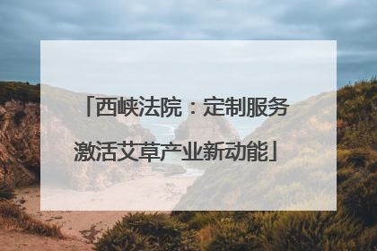 西峡法院：定制服务激活艾草产业新动能