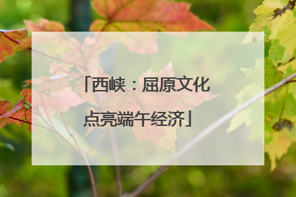 西峡：屈原文化点亮端午经济