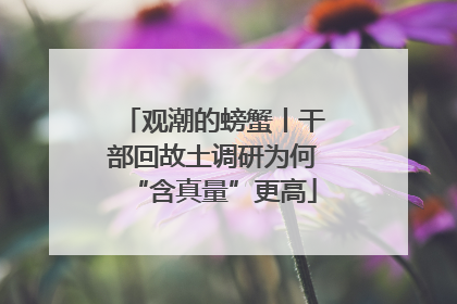 观潮的螃蟹丨干部回故土调研为何“含真量”更高