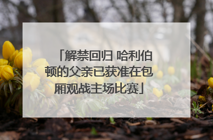 解禁回归 哈利伯顿的父亲已获准在包厢观战主场比赛