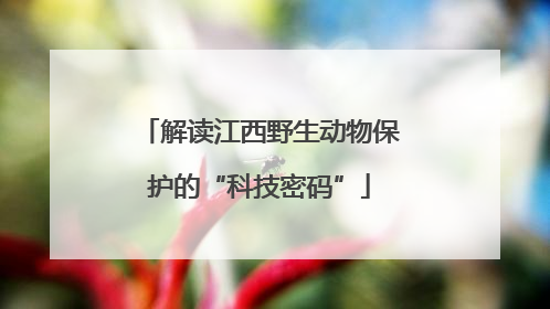 解读江西野生动物保护的“科技密码”