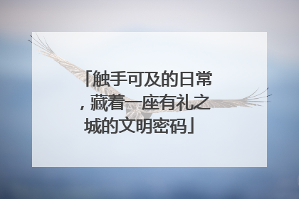 触手可及的日常，藏着一座有礼之城的文明密码