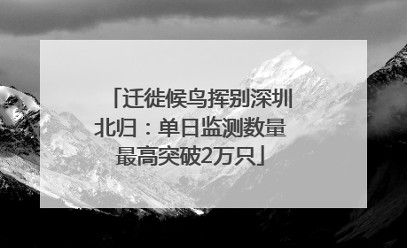 迁徙候鸟挥别深圳北归：单日监测数量最高突破2万只