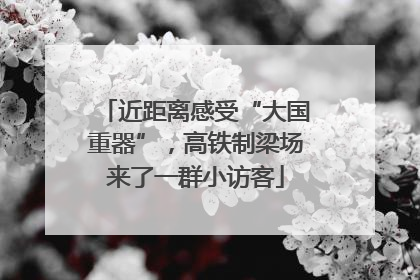 近距离感受“大国重器”，高铁制梁场来了一群小访客