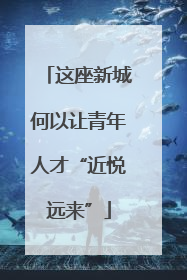 这座新城何以让青年人才“近悦远来”