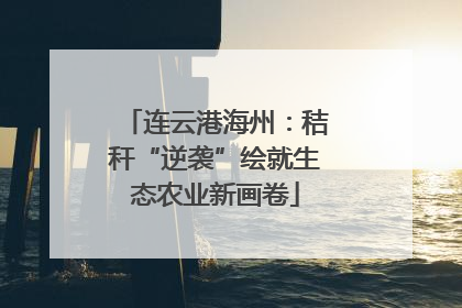连云港海州：秸秆“逆袭”绘就生态农业新画卷