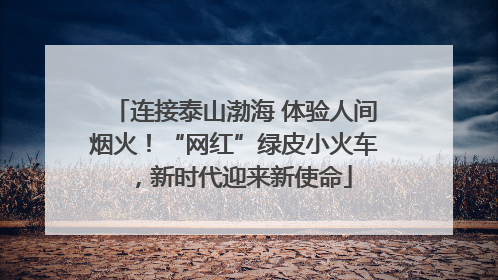 连接泰山渤海 体验人间烟火！“网红”绿皮小火车，新时代迎来新使命