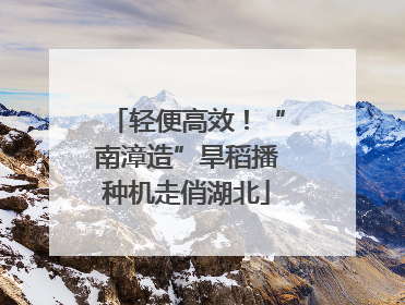 轻便高效！“南漳造”旱稻播种机走俏湖北