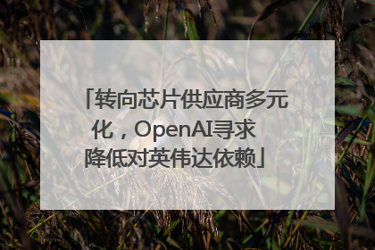 转向芯片供应商多元化，OpenAI寻求降低对英伟达依赖