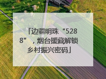 边疆明珠“5288”，烟台援藏解锁乡村振兴密码
