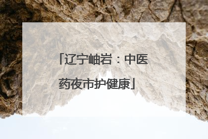 辽宁岫岩：中医药夜市护健康