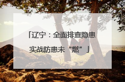 辽宁：全面排查隐患 实战防患未“燃”
