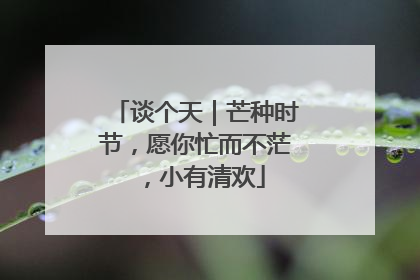 谈个天｜芒种时节，愿你忙而不茫，小有清欢