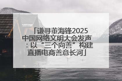 谦寻董海锋2025中国网络文明大会发声：以“三个向善”构建直播电商善意长河