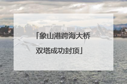 象山港跨海大桥双塔成功封顶