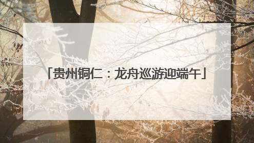 贵州铜仁：龙舟巡游迎端午