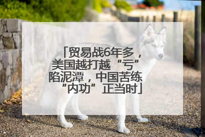 贸易战6年多，美国越打越“亏”陷泥潭，中国苦练“内功”正当时