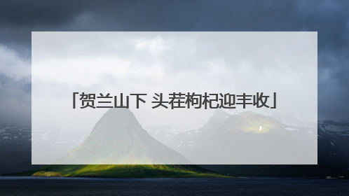 贺兰山下 头茬枸杞迎丰收