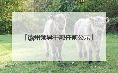 赣州领导干部任前公示