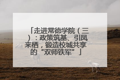 走进常德学院（三）：政策筑基、引凤来栖，锻造校城共享的“双师铁军”