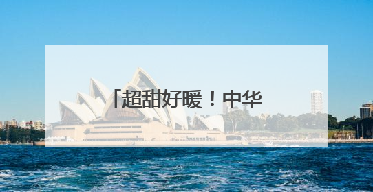 超甜好暖！中华巴洛克街区花卉墙画浪漫指数拉满