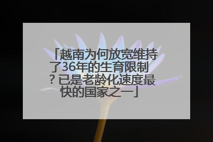 越南为何放宽维持了36年的生育限制？已是老龄化速度最快的国家之一