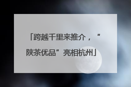 跨越千里来推介，“陕茶优品”亮相杭州