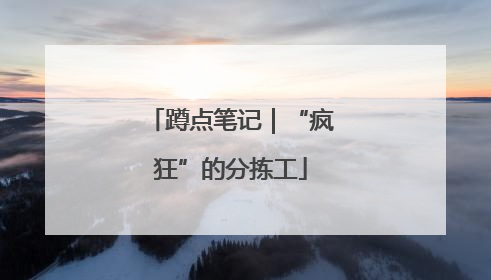 蹲点笔记｜“疯狂”的分拣工