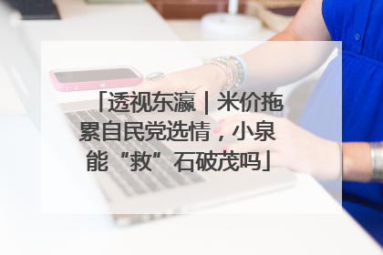透视东瀛｜米价拖累自民党选情，小泉能“救”石破茂吗
