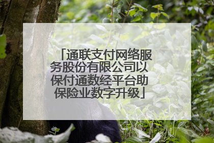 通联支付网络服务股份有限公司以保付通数经平台助保险业数字升级