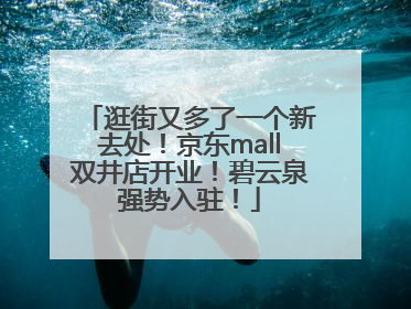 逛街又多了一个新去处！京东mall双井店开业！碧云泉强势入驻！