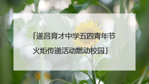 遂昌育才中学五四青年节火炬传递活动燃动校园