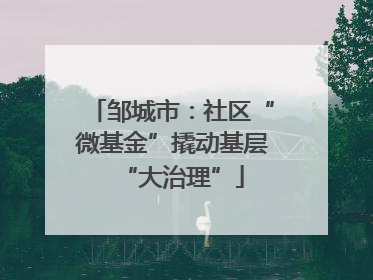 邹城市：社区“微基金”撬动基层“大治理”