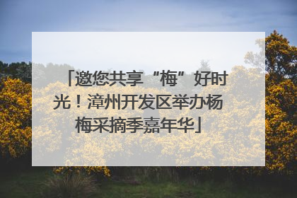 邀您共享“梅”好时光！漳州开发区举办杨梅采摘季嘉年华