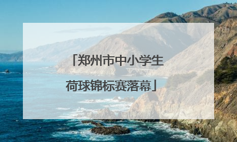 郑州市中小学生荷球锦标赛落幕