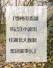 鄂州市委副书记汪小波出任湖北大数据集团董事长