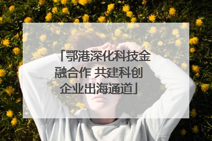 鄂港深化科技金融合作 共建科创企业出海通道